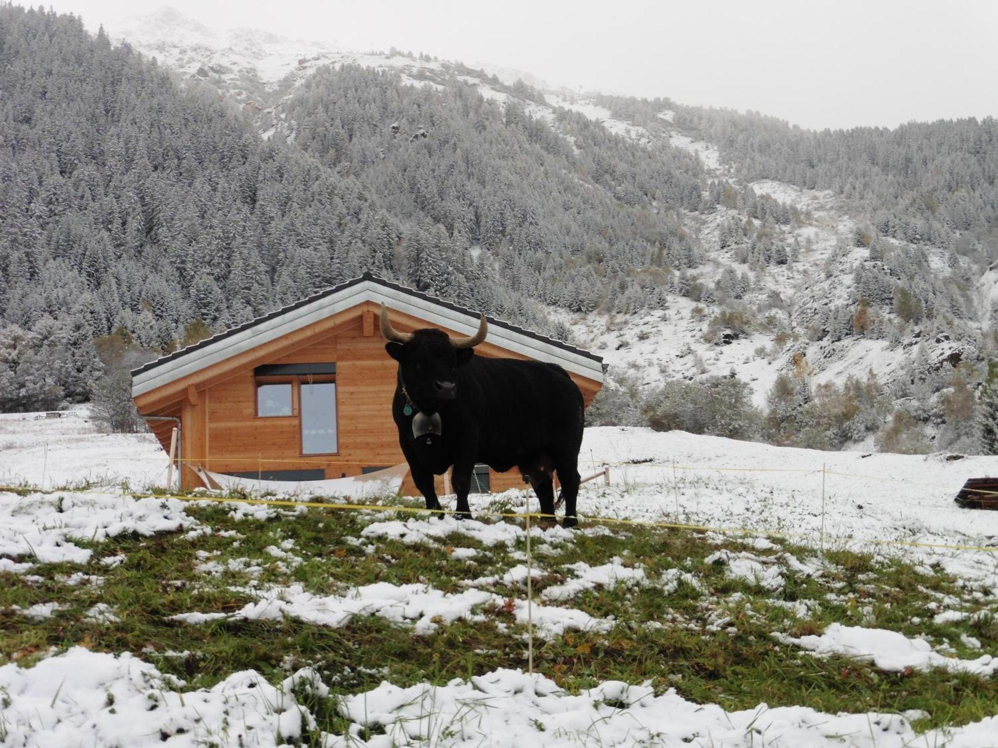 La Cle Des Champs Heremence Exterior foto