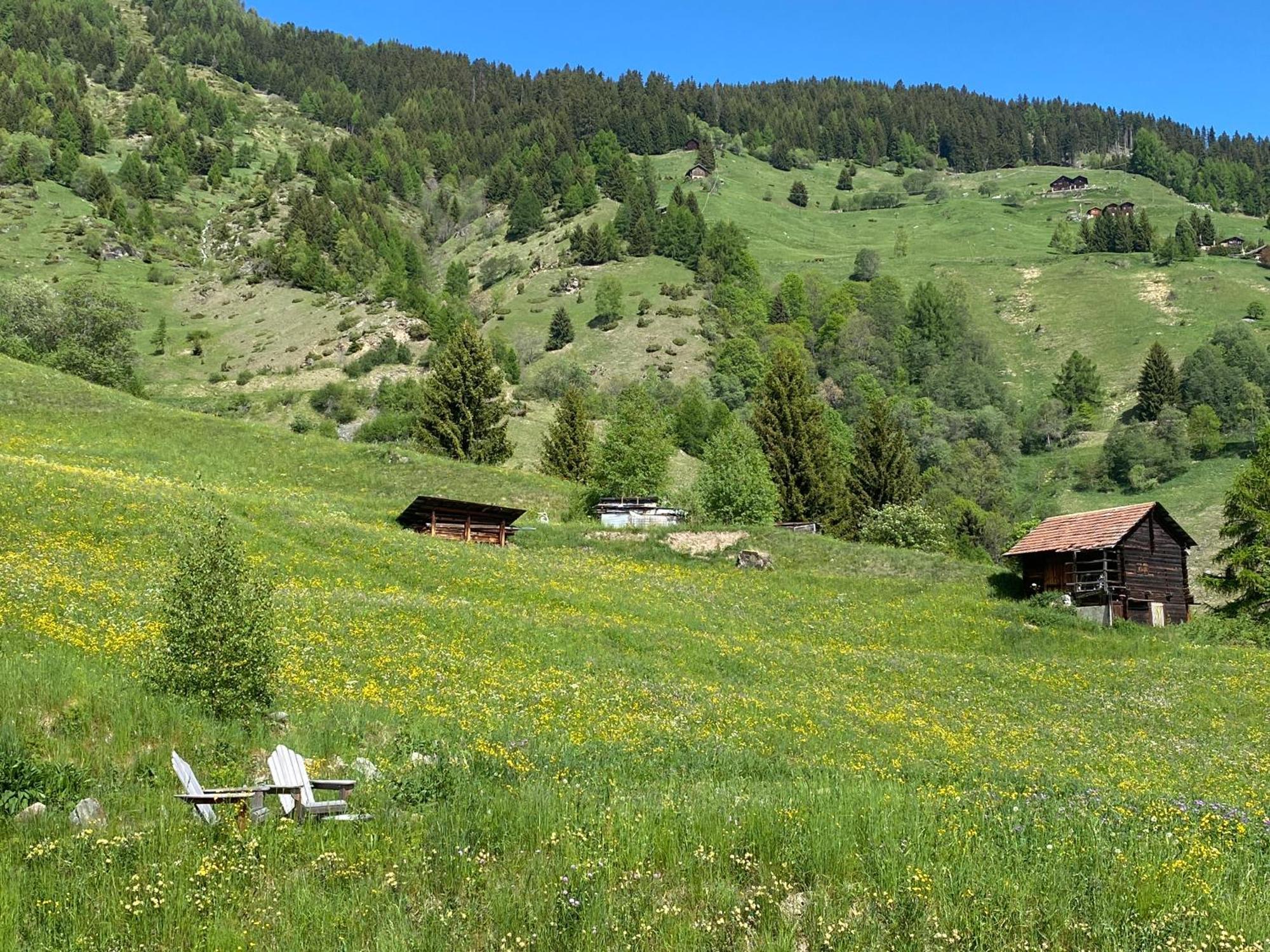La Cle Des Champs Heremence Exterior foto